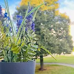 Lavender Appart Lägenhet