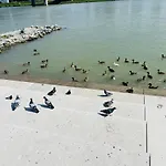 Lavender Appart Lägenhet Linz