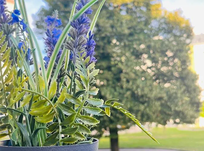 Lavender Appart شقة