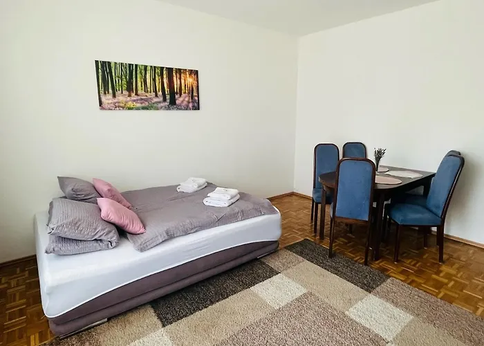 公寓 Lavender Appart 林茨