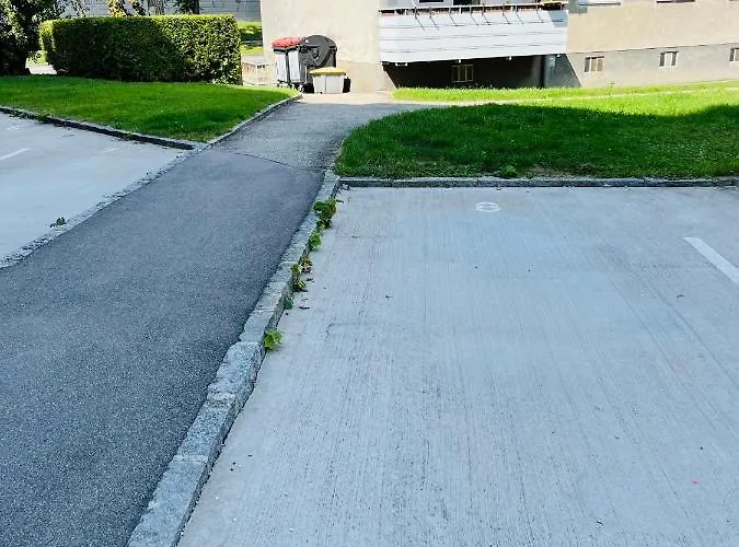 Lavender Appart شقة لينتز