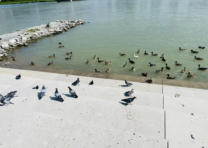 Lavender Appart 公寓 林茨