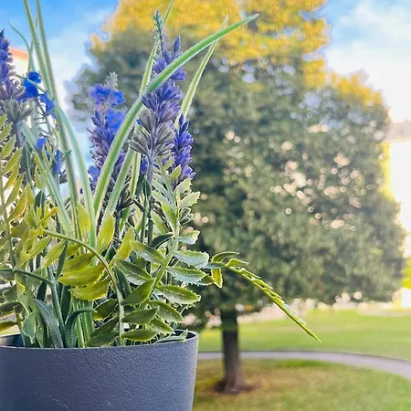 Lavender Appart Апартаменты