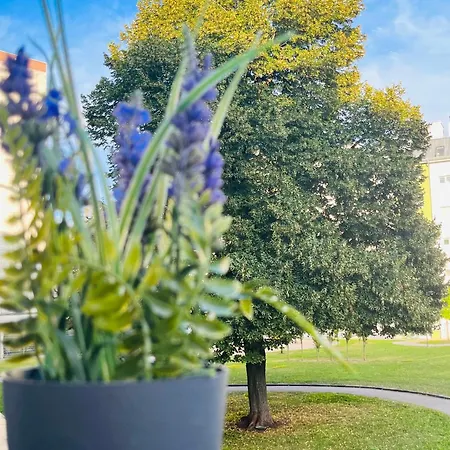 Апартаменты Lavender Appart *